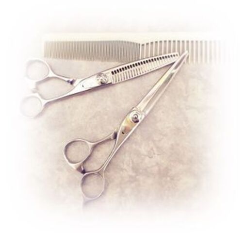 2月26日　スタッフの山田休みます